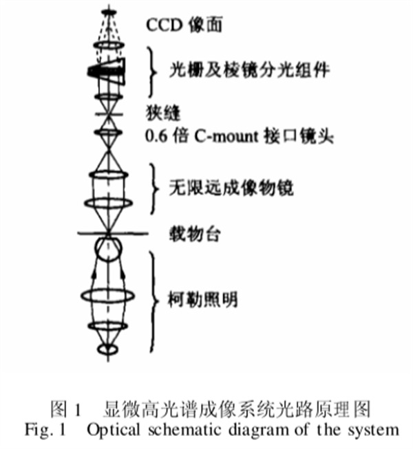 顯微高光譜成像系統原理圖