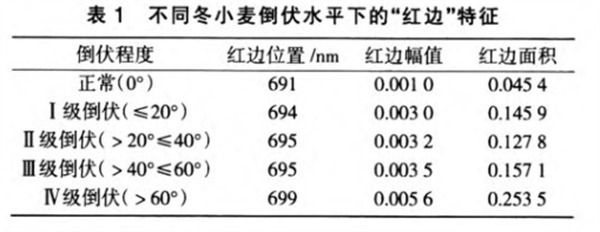 表1不同冬小麥倒伏水平下的“紅邊”特征