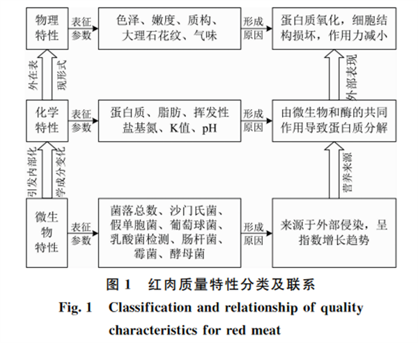 紅肉質量高光譜無損檢測研究