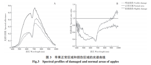 基于高光譜成像的蘋果損傷檢測方法3