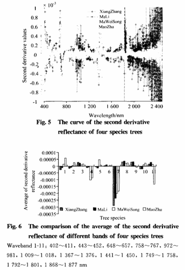 基于葉片高光譜特性分析的樹種識(shí)別方法5