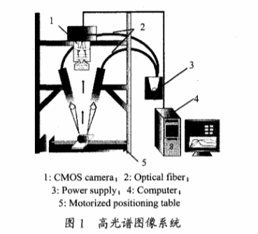 高光譜成像技術檢測柑橘果銹