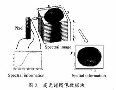 高光譜成像技術檢測柑橘果銹2