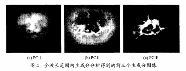 高光譜成像技術檢測柑橘果銹4