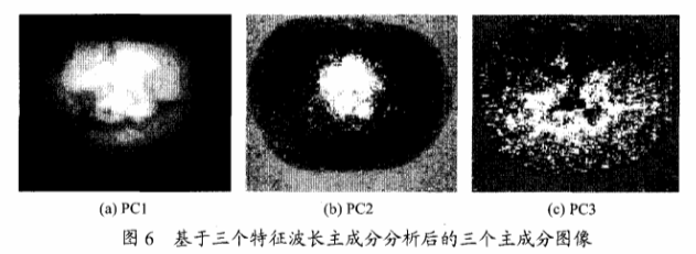 高光譜成像技術檢測柑橘果銹6