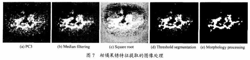 高光譜成像技術檢測柑橘果銹7