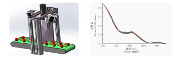 近紅外光譜分析技術(shù)食品檢測(cè)2